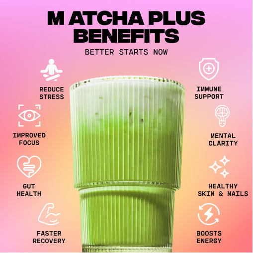 Matcha+ Starter Kit (30 Servings) - Premium Active Ready Set
